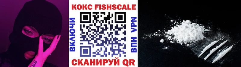 Cocaine FishScale Купить закладки Хабаровск