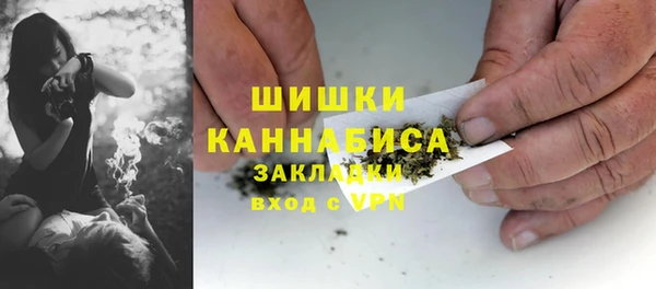 прущие грибы Алексин