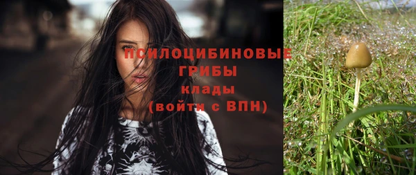молекула духа Алексеевка