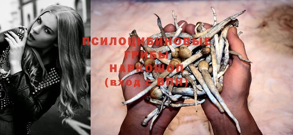 прущие грибы Алексин
