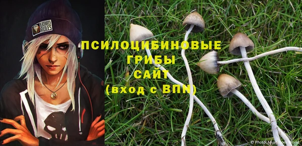 прущие грибы Алексин