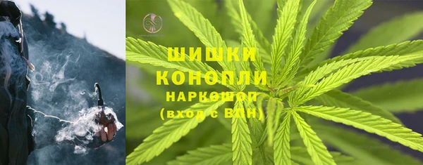 прущие грибы Алексин