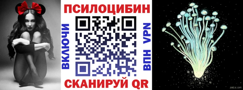 Купить где  Хабаровск  Псилоцибиновые грибы GOLDEN TEACHER 